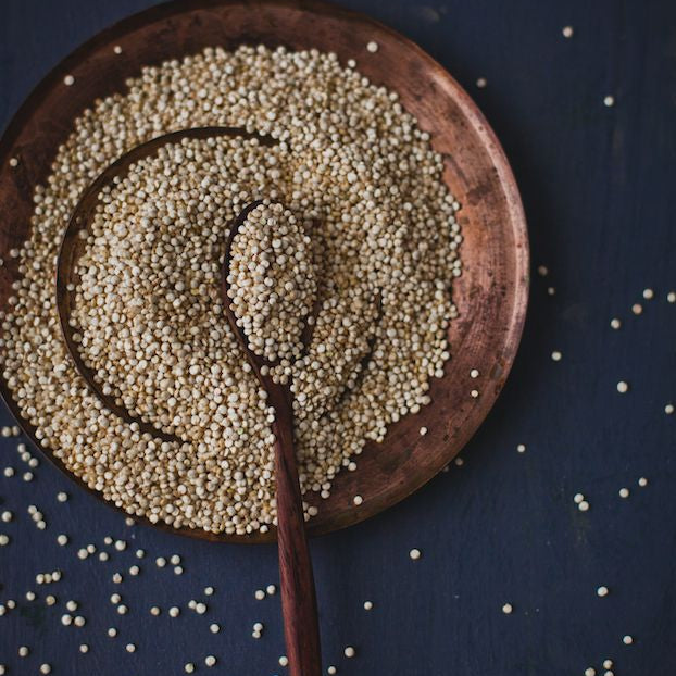 Hydrolysed Quinoa Protein