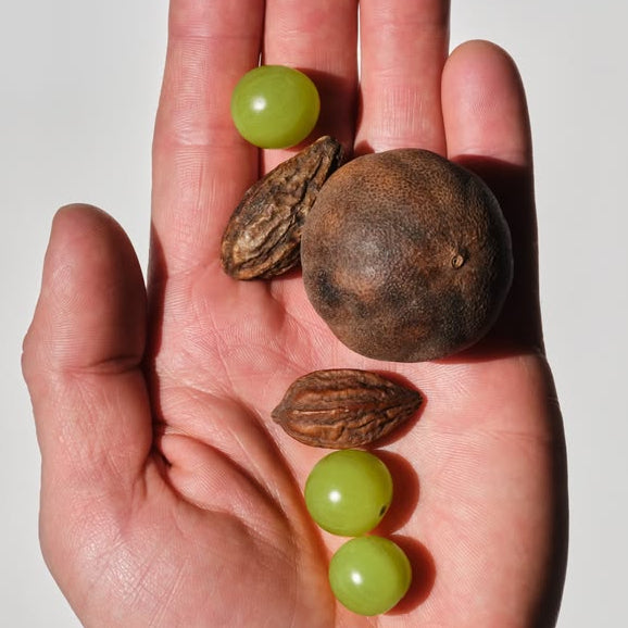 Reetha + Triphala