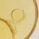 Anti Dandruff Ritual- Detoxifying Scalp Oil